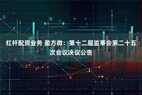 杠杆配资业务 盈方微：第十二届监事会第二十五次会议决议公告