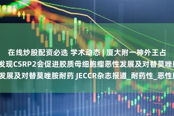 在线炒股配资必选 学术动态 | 厦大附一神外王占祥/张云武等团队首次发现CSRP2会促进胶质母细胞瘤恶性发展及对替莫唑胺耐药 JECCR杂志报道_耐药性_恶性肿瘤_放疗